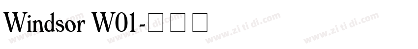 Windsor W01字体转换